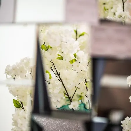 Ms Pro Aquarius * Kolobrzeg